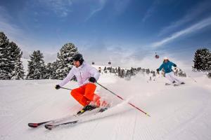 Skifaciliteter ved chaletet eller i nærheden + 59 billeder