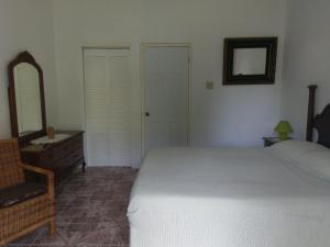 a bedroom with a bed and a dresser and a mirror at Polish Princess Guest House in Port Antonio