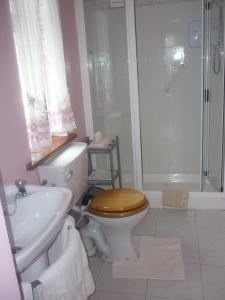 y baño con aseo, lavabo y ducha. en Castle View B&B, en Freshford