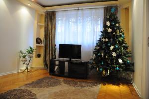 ブラショヴにあるCivic Centre Residenceのテレビ付きリビングルームのクリスマスツリー