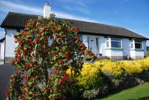 um arbusto com flores vermelhas em frente a uma casa em Castle View B&B em Freshford