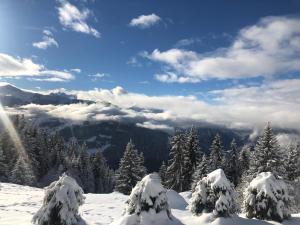 Příroda nedaleko prázdninového domu