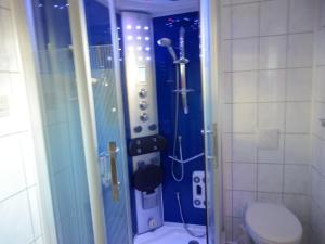a bathroom with a shower with a toilet in it at Ferienwohnung an der Dresdner Heide - Langebrück in Dresden