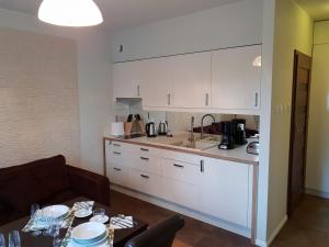 Kuchnia lub aneks kuchenny w obiekcie Lux Apartment Art