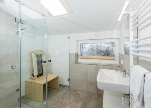 a bathroom with a sink and a glass shower at Panorama Lodge Premium Apartments in Schladming