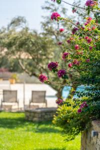 dois bancos num parque com flores cor-de-rosa em Abelia Luxurious Villas em Finikounta