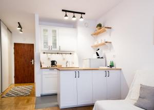 Kuchyňa alebo kuchynka v ubytovaní Arkadia Chillout Apartment