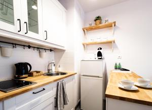 Kuchyňa alebo kuchynka v ubytovaní Arkadia Chillout Apartment