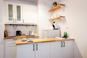 Kuchyňa alebo kuchynka v ubytovaní Arkadia Chillout Apartment