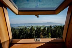 Příroda nedaleko bed and breakfast