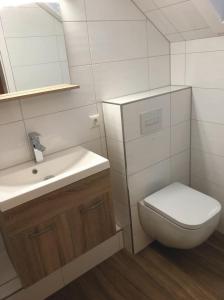 een badkamer met een toilet, een wastafel en een spiegel bij Ferienwohnungen Haus Landmann in Hahnenklee-Bockswiese