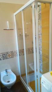 a bathroom with a shower and a toilet and a sink at Casabb in Toscolano Maderno +14 photos