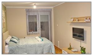 a small bedroom with a bed and a television at Apartment Libra in Novi Sad