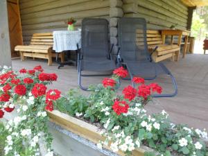 Zahrada ubytování Guest House Ziedkalni