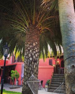 a palm tree in front of a red building at Casa Rural Ceiba in El Rosario
