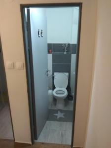 een badkamer met een toilet en een glazen deur bij Dušan in Štôla