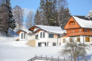 Appartement - das kleine Bleiberger by Schladmingurlaub tokom zime