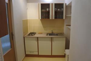 Kuchyňa alebo kuchynka v ubytovaní Apartmány Růže