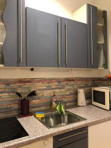 een aanrecht met een spoelbak en een magnetron bij Munich Apartment Harras (Souterrain) in München +13 foto's