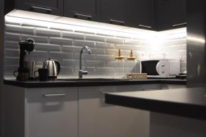 Kuchyň nebo kuchyňský kout v ubytování Comely luxury Apt Must