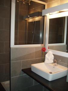 uma casa de banho com um lavatório e um espelho em L'Etoile Du Berger em Les Angles
