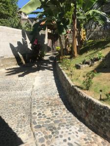 a cobblestone walkway next to a stone wall at Deep Forest Posadas Ecoturisticas in El Zaino