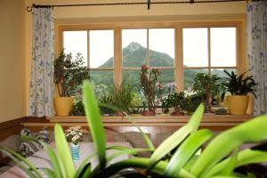 Uma vista geral da montanha ou uma vista da montanha a partir do quarto em acomodação particular