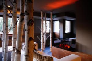 Hôtel Alpina - Swiss Ski & Bike Lodge Grimentz客房内的一张或多张床位