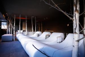 Hôtel Alpina - Swiss Ski & Bike Lodge Grimentz的休息区