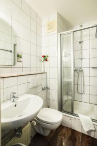 La salle de bains est pourvue d'un lavabo, de toilettes et d'une douche. dans l'établissement Hotel Domblick Garni, à Cologne