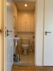 a bathroom with a toilet and a sink at Vakantiewoning aan het Veerse meer in Wolphaartsdijk +12 photos