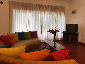 - un salon avec un canapé et une télévision dans l'établissement HangarankandaBungalow Deniyaya, à Deniyaya