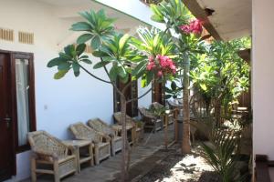 a room with a bunch of chairs and trees at Ombak Homestay in Gili Trawangan