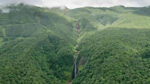 an aerial view of a forested mountain with a waterfall at le "BWA ' KAO" in Capesterre-Belle-Eau