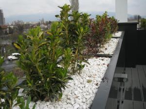 Gallery image of Domus Aparthotel in Skopje