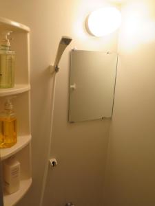 A bathroom at New Yokote