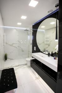 bagno con lavandino, servizi igienici e specchio di Apartament z basenem i widokiem na Motławę a Danzica