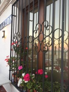 Balkón nebo terasa v ubytování Hostal Avalon