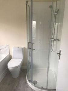 a bathroom with a toilet and a glass shower at 8 Queenora Avenue in Portstewart