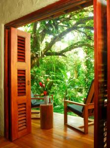 
a room with a wooden bench and a window at Playa Nicuesa Rainforest Eco Sanctuary in Golfito
