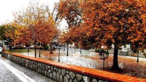 a row of trees in a park with autumn leaves at Archontiko Kirfis in Desfina in Dhesfína