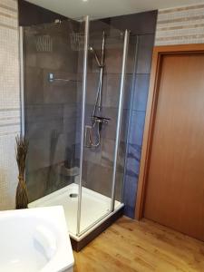 a bathroom with a shower and a sink at Ferienwohnung Drömmeljan in Xanten