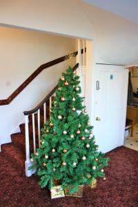 un árbol de Navidad sentado en el piso junto a una escalera en Thanington Hotel, en Canterbury