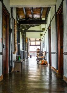 an empty hallway in a building with a wooden ceiling at Coffee Tree Boutique Hostel in Salento