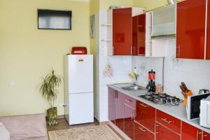 トラスコヴェッツにあるGreen Apartments Bandery 35の白い冷蔵庫とシンクのあるキッチン