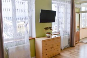 トラスコヴェッツにあるGreen Apartments Bandery 35のテレビと窓のあるドレッサーのある部屋