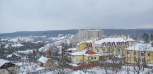 トラスコヴェッツにあるGreen Apartments Bandery 35の雪屋根・建物のある街