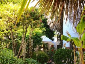 Una persona parada en un jardín con árboles y plantas. en Hotel Boutique America, en Miramar 49 fotos más
