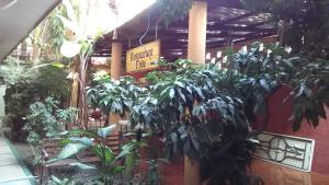 Zahrada ubytování Hotel Quinta San Juan