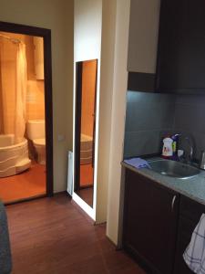 een keuken met een wastafel en een badkamer met een toilet bij Golden Mount View Apartment in Goedaoeri +26 foto's